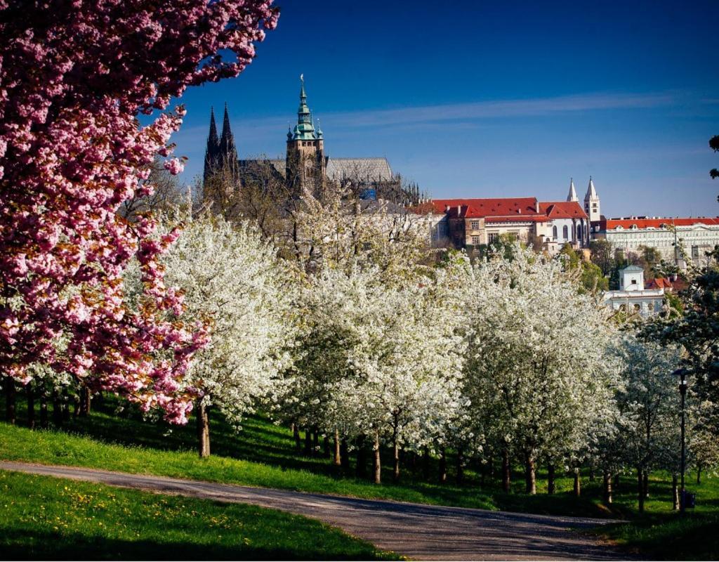 Royal Apartments Prague By Michal&Friends Extérieur photo